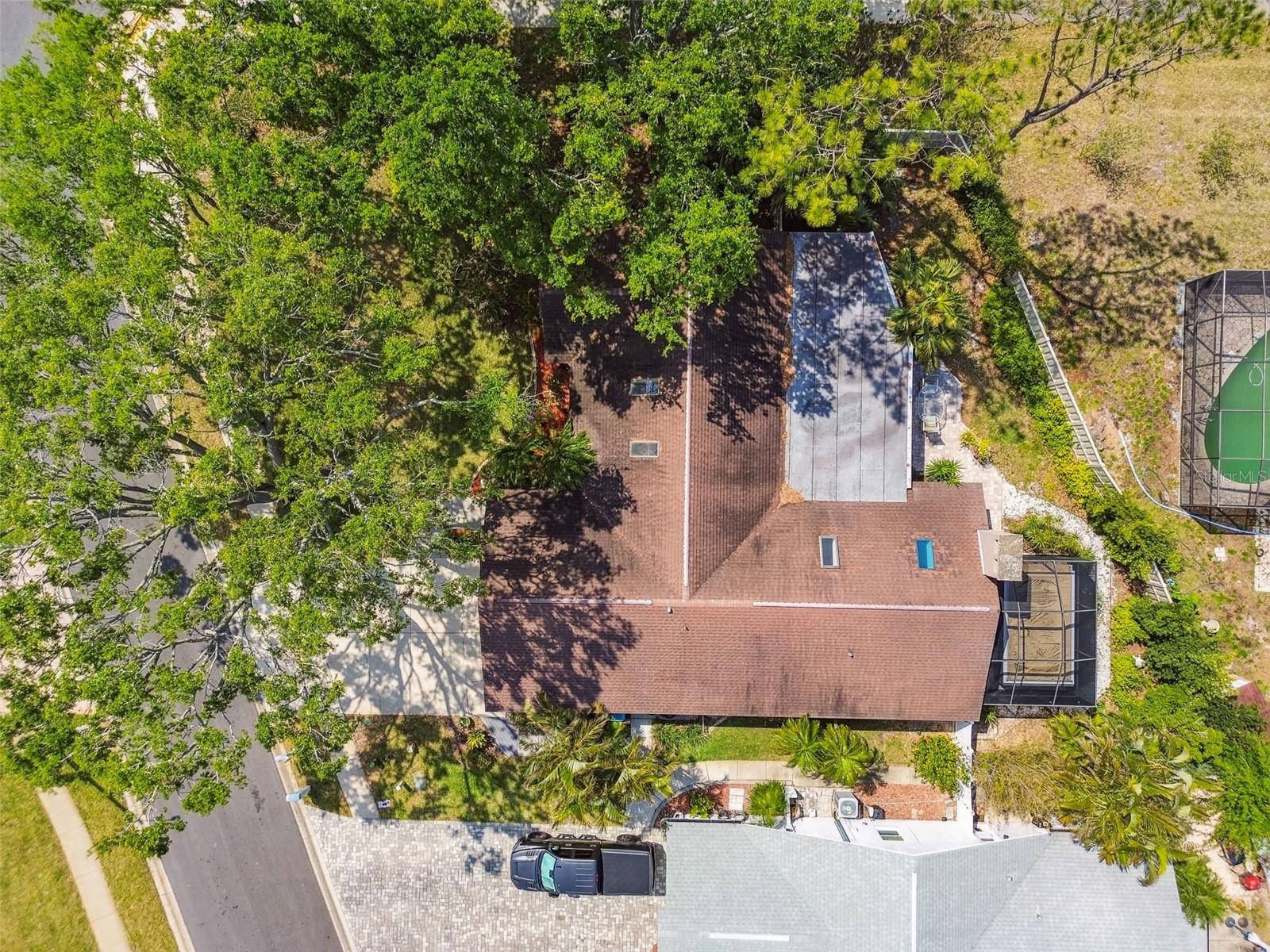 1585 VIRGINIA AVE, PALM HARBOR, FL, 34683