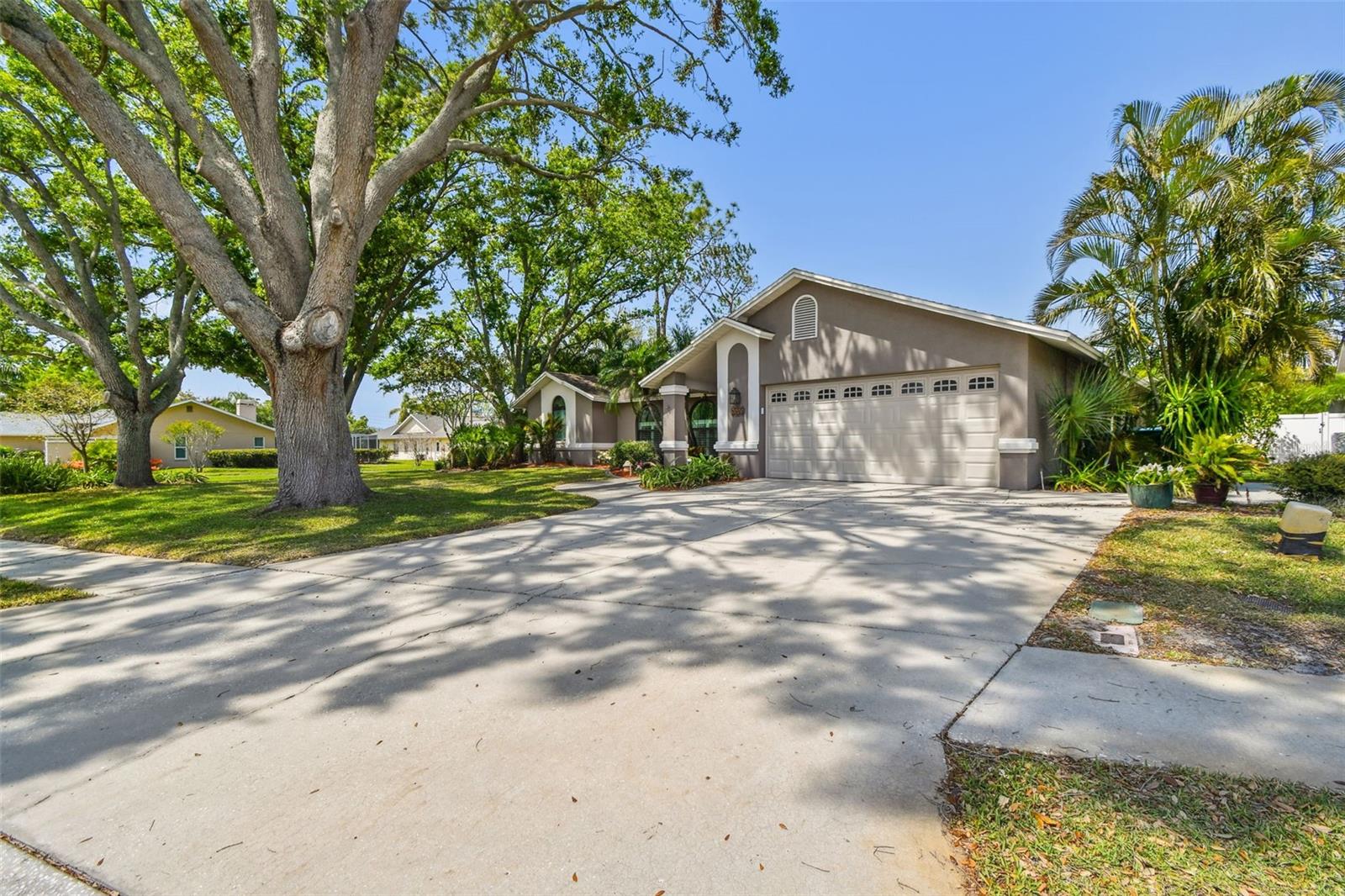 1585 VIRGINIA AVE, PALM HARBOR, FL, 34683