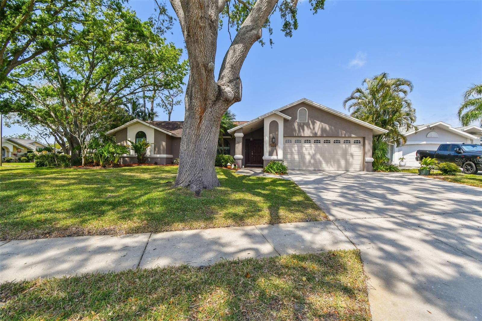 1585 VIRGINIA AVE, PALM HARBOR, FL, 34683