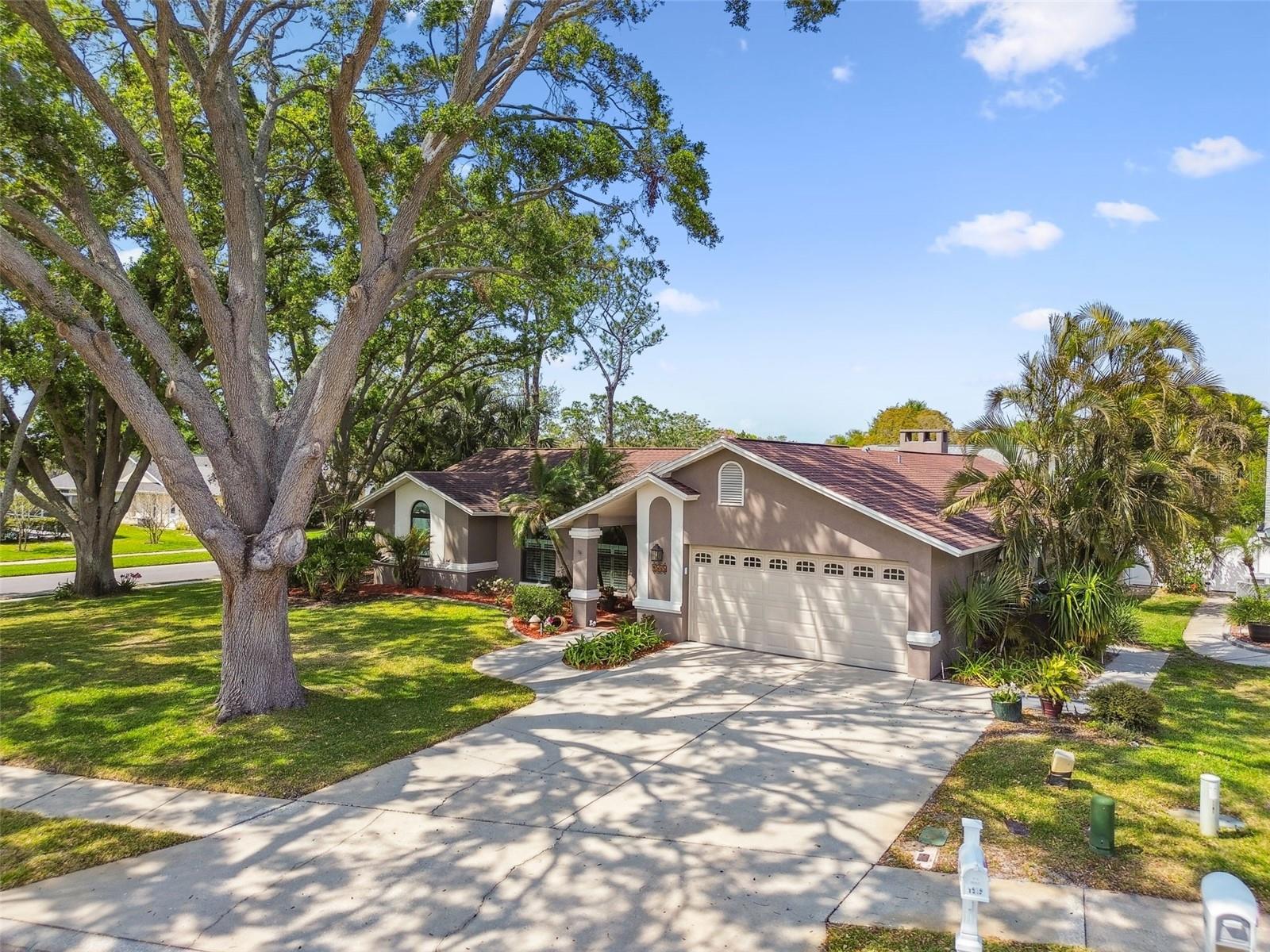 1585 VIRGINIA AVE, PALM HARBOR, FL, 34683