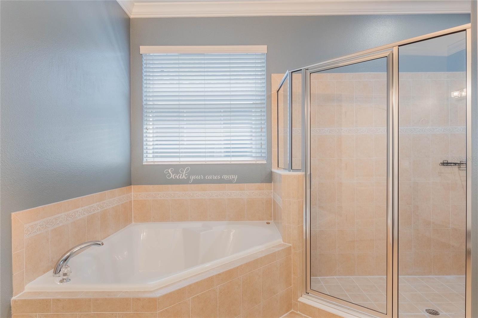 3415 STARBIRD DR, OCOEE, FL, 34761