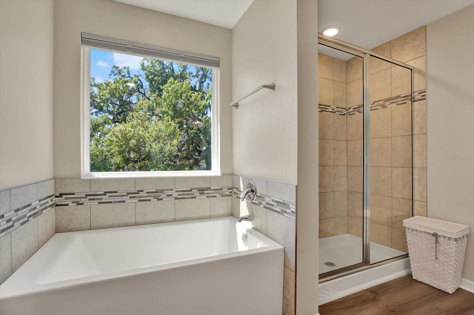 11486 JUNE BRIAR LOOP, SAN ANTONIO, FL, 33576