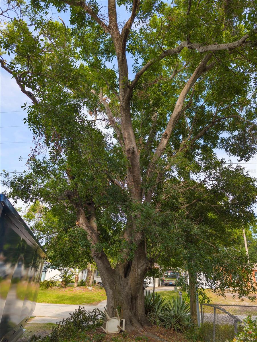 8926 68TH, PINELLAS PARK, FL, 33782