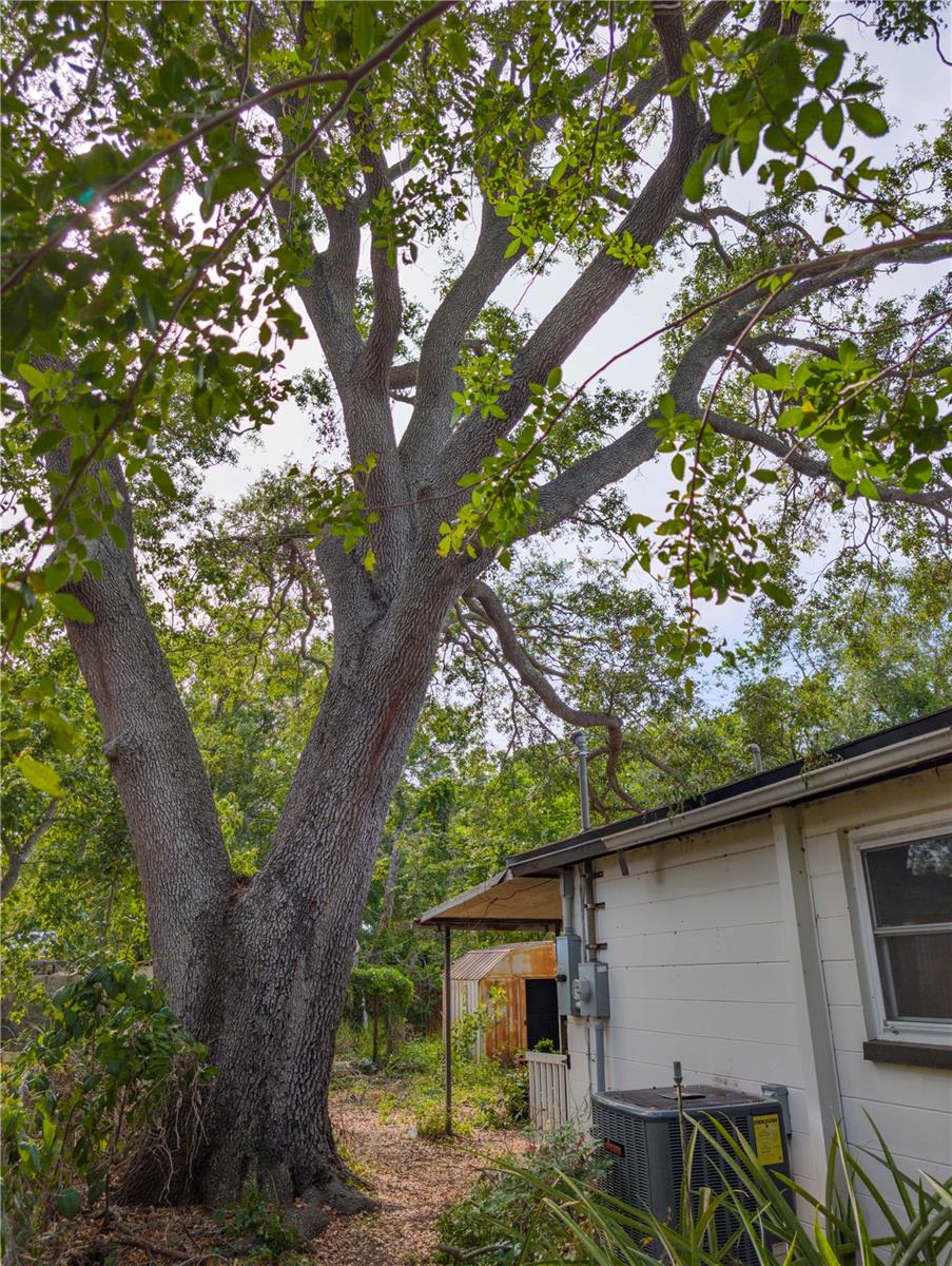 8926 68TH, PINELLAS PARK, FL, 33782