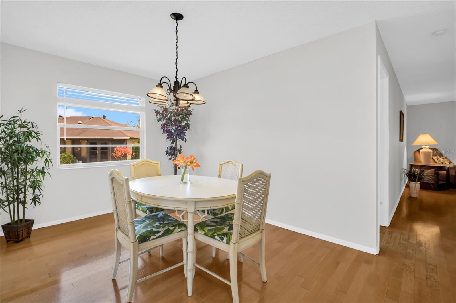 3479 MACLAREN DR, PALM HARBOR, FL, 34684