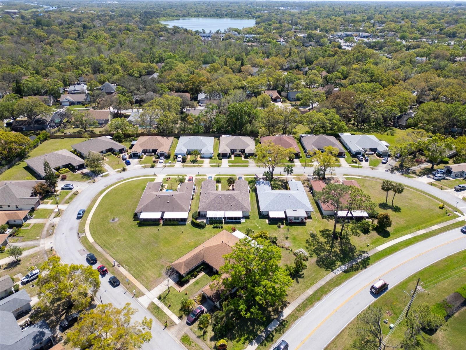 3479 MACLAREN DR, PALM HARBOR, FL, 34684