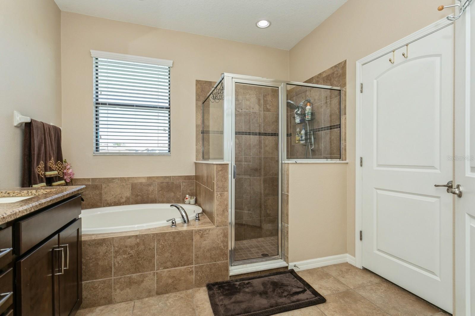 5006 IVORY STONE DR, WIMAUMA, FL, 33598