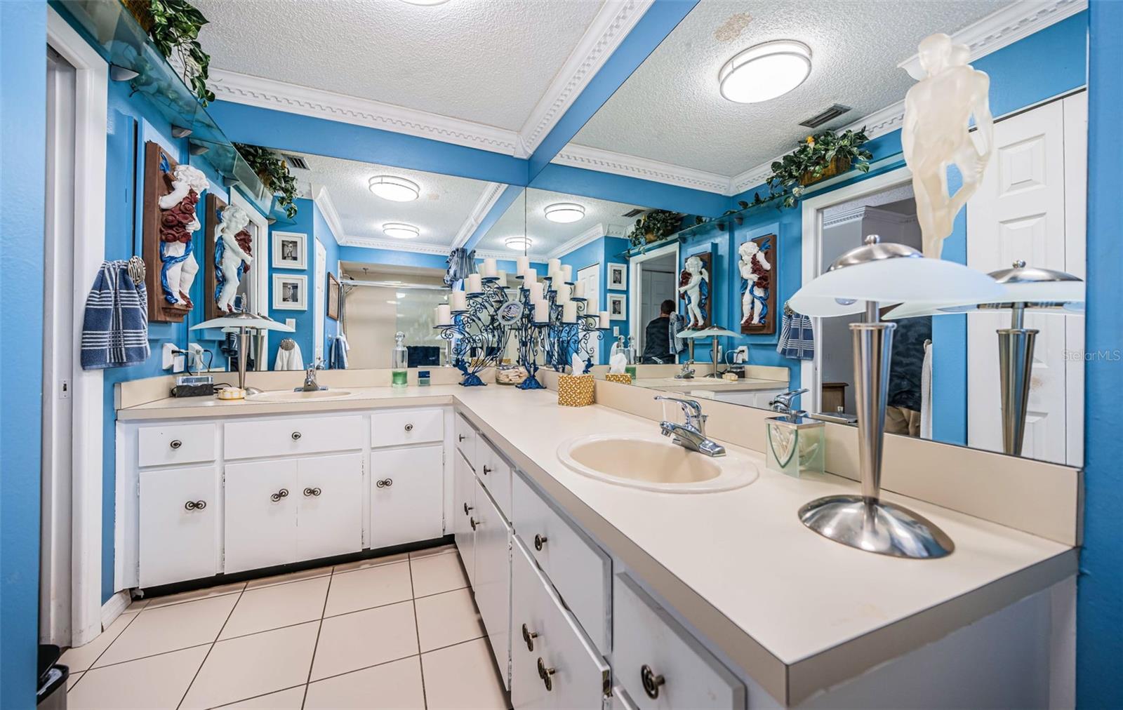 3531 GLOSSY IBIS CT, PALM HARBOR, FL, 34683