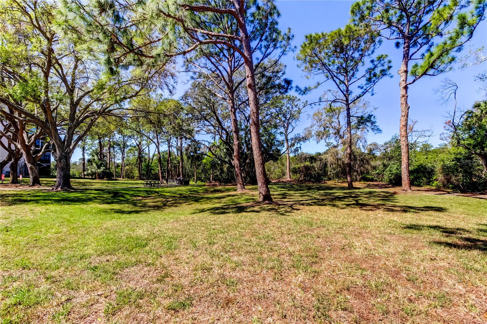 5521 80TH ST N #315, ST PETERSBURG, FL, 33709