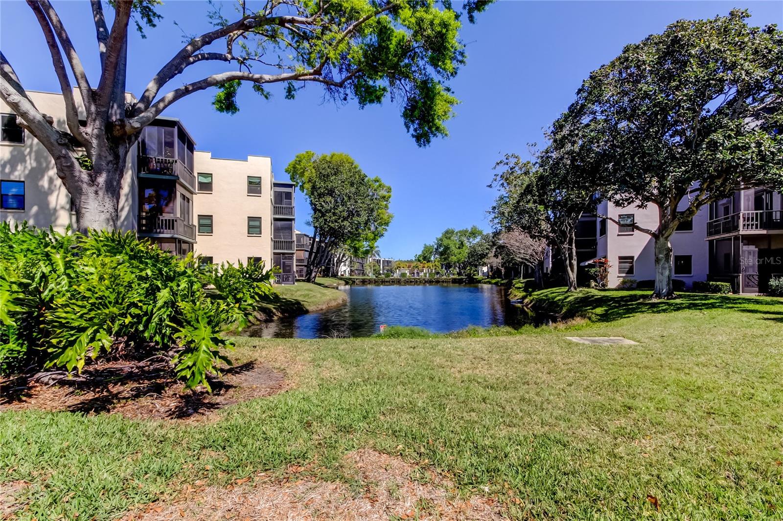 5521 80TH ST N #315, ST PETERSBURG, FL, 33709