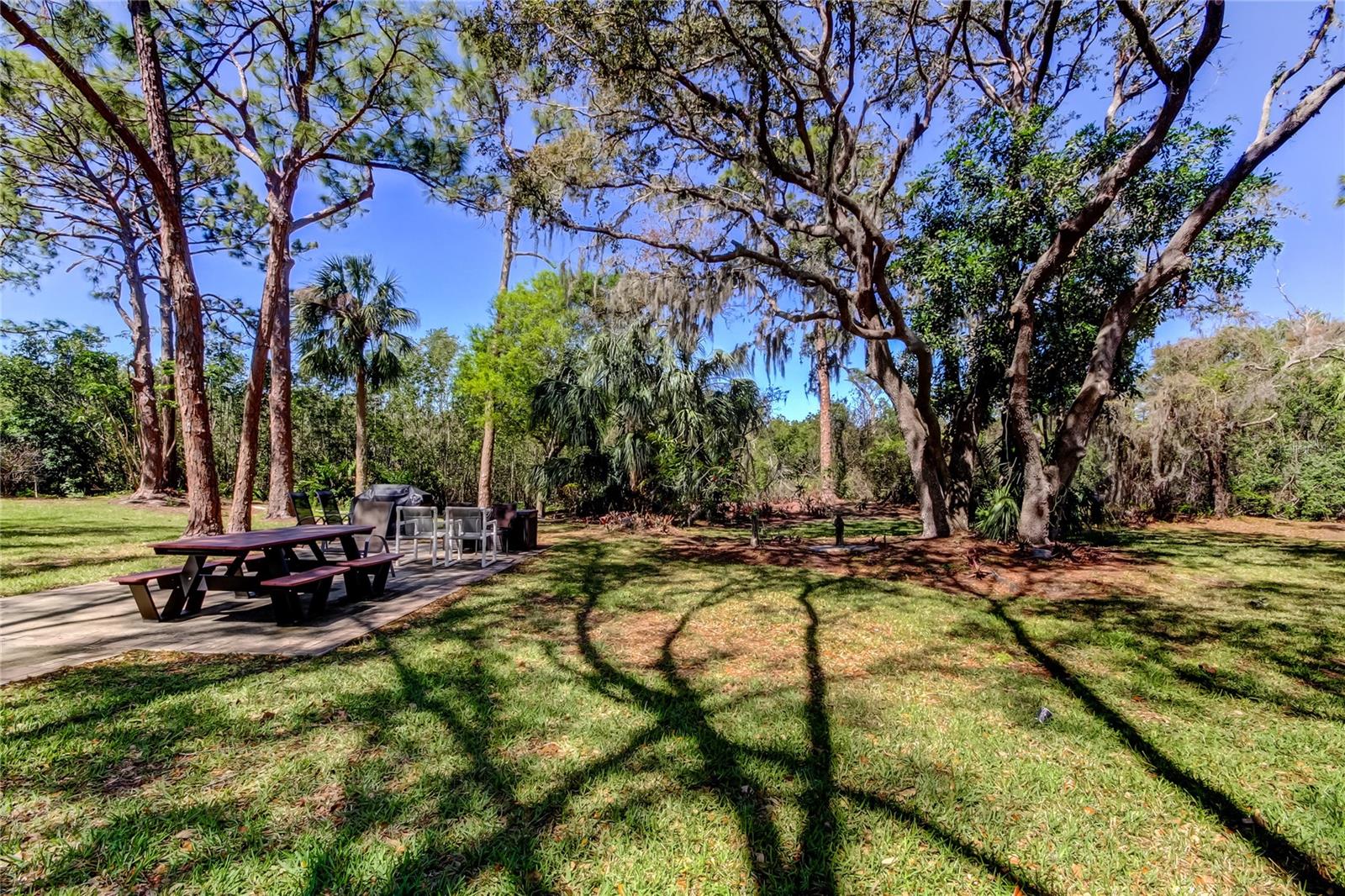 5521 80TH ST N #315, ST PETERSBURG, FL, 33709