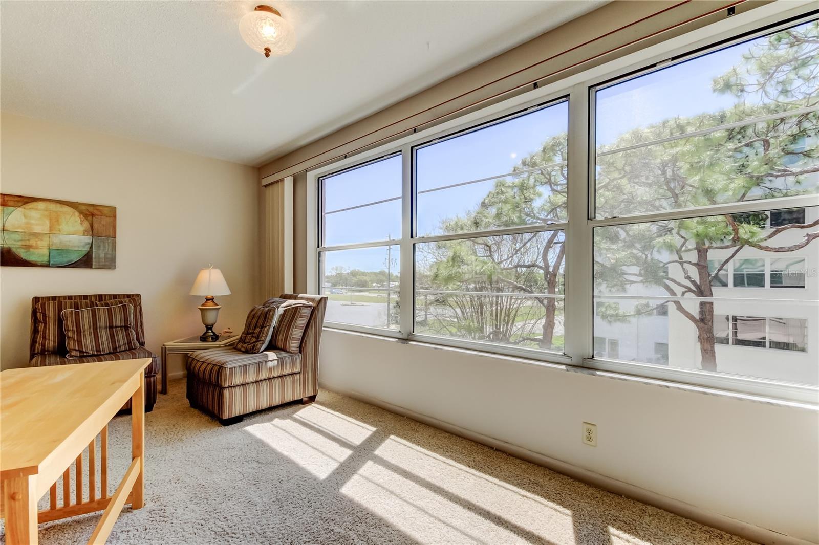 5521 80TH ST N #315, ST PETERSBURG, FL, 33709