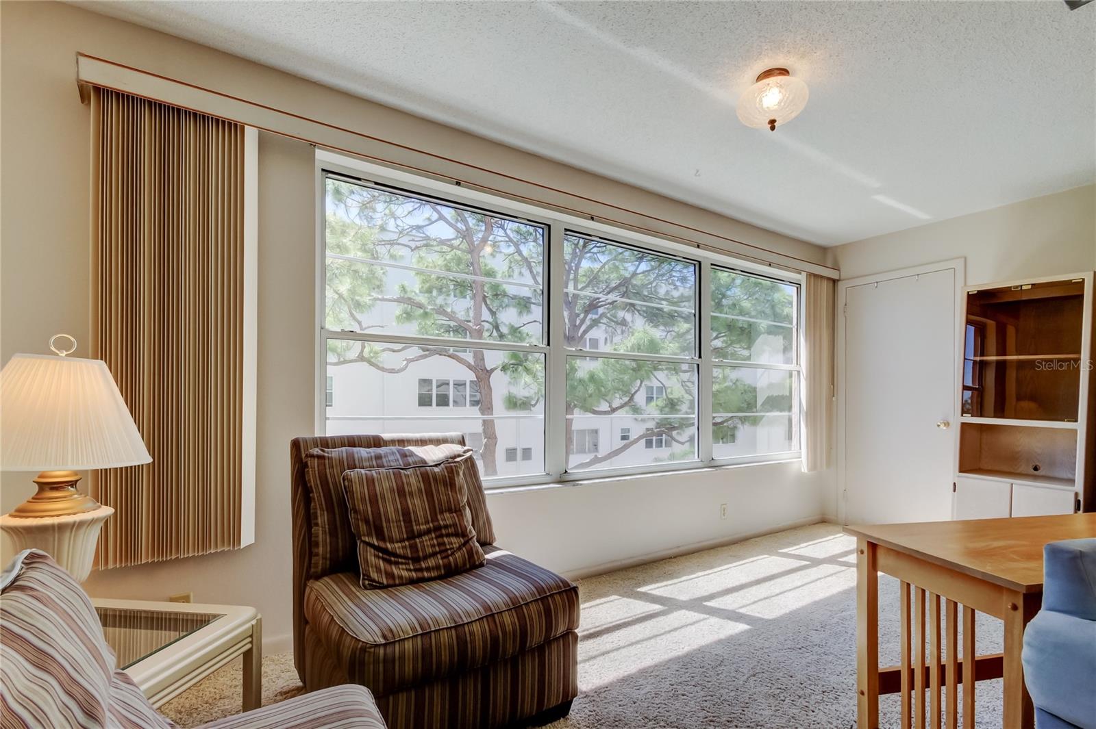 5521 80TH ST N #315, ST PETERSBURG, FL, 33709