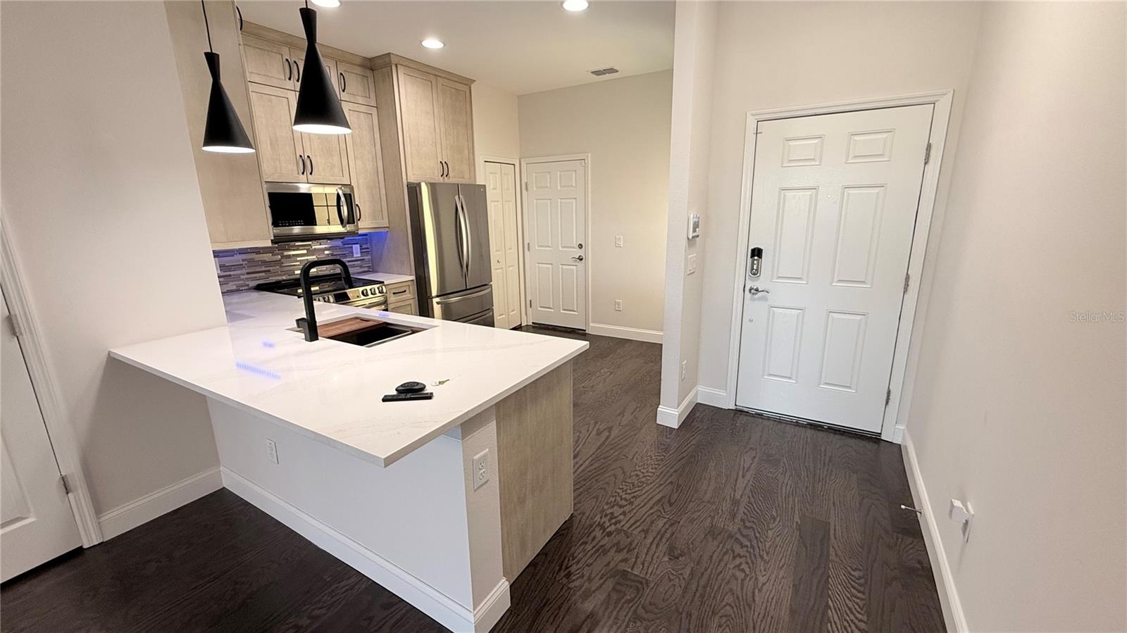 29857 SOUTHWELL LN, WESLEY CHAPEL, FL, 33543