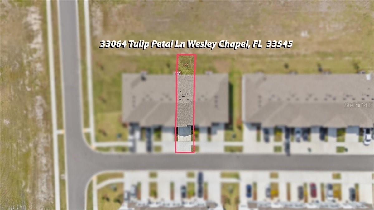 33064 TULIP PETAL LN, WESLEY CHAPEL, FL, 33545