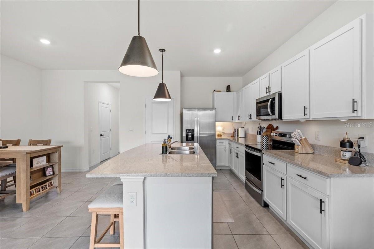 33064 TULIP PETAL LN, WESLEY CHAPEL, FL, 33545