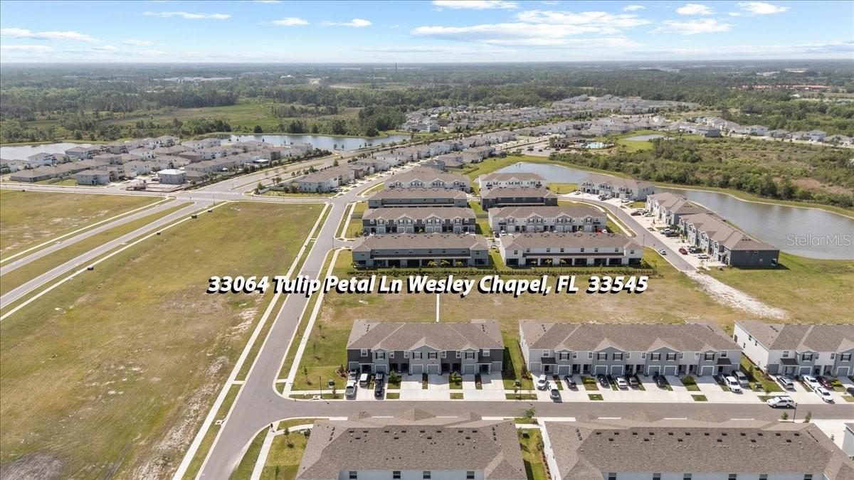 33064 TULIP PETAL LN, WESLEY CHAPEL, FL, 33545