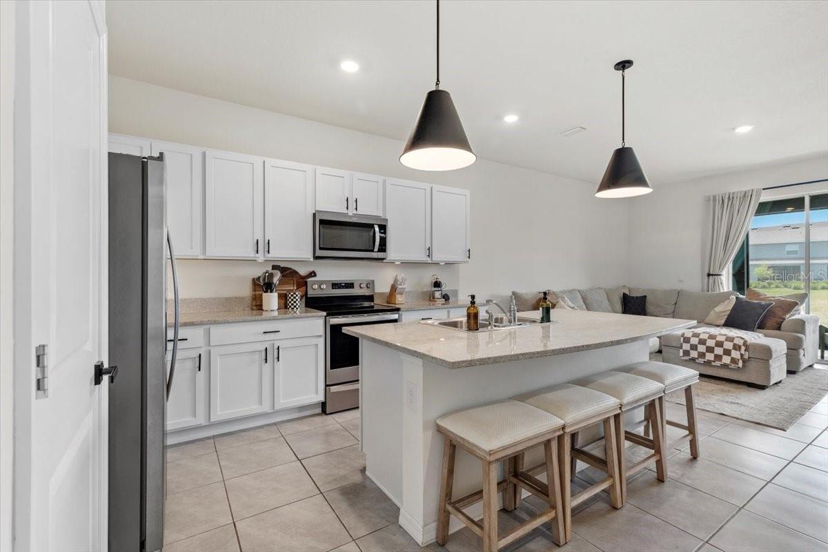 33064 TULIP PETAL LN, WESLEY CHAPEL, FL, 33545