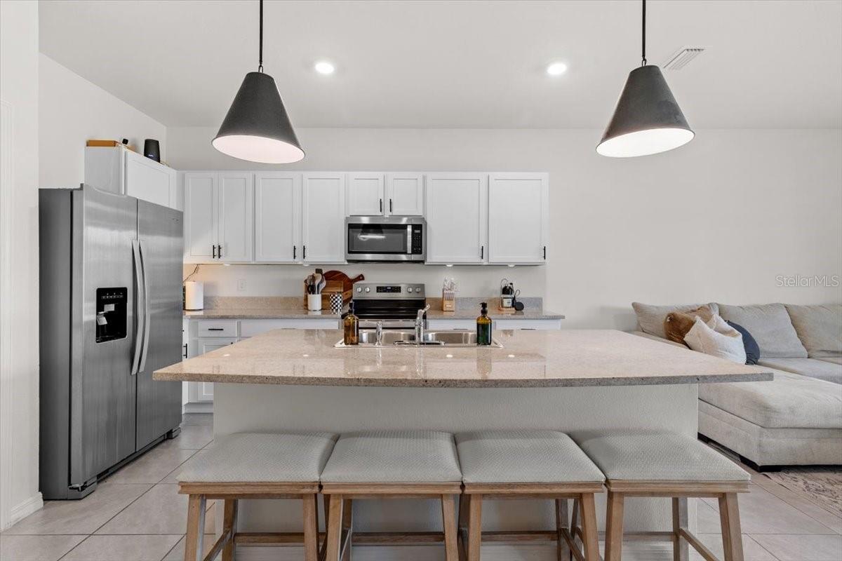 33064 TULIP PETAL LN, WESLEY CHAPEL, FL, 33545