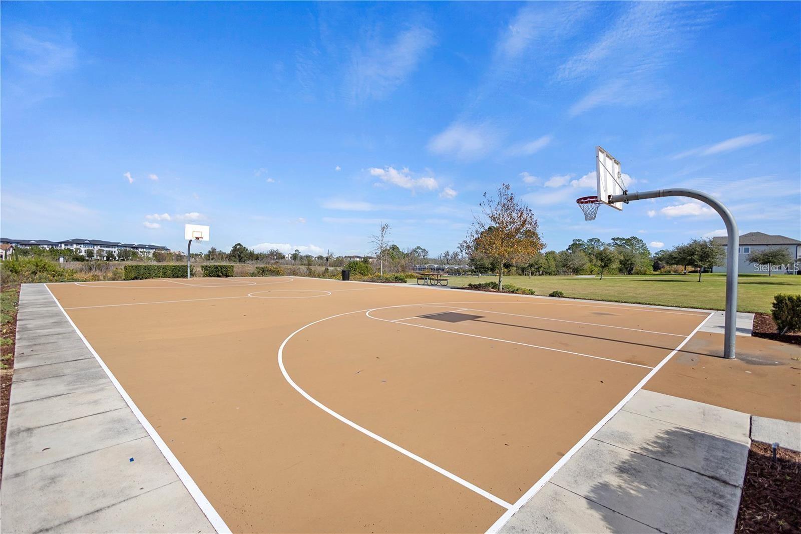 14007 PICARD ALY, WINTER GARDEN, FL, 34787