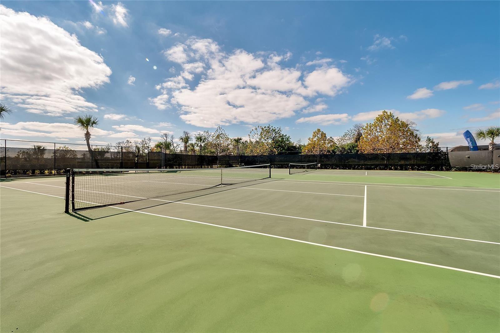 14007 PICARD ALY, WINTER GARDEN, FL, 34787