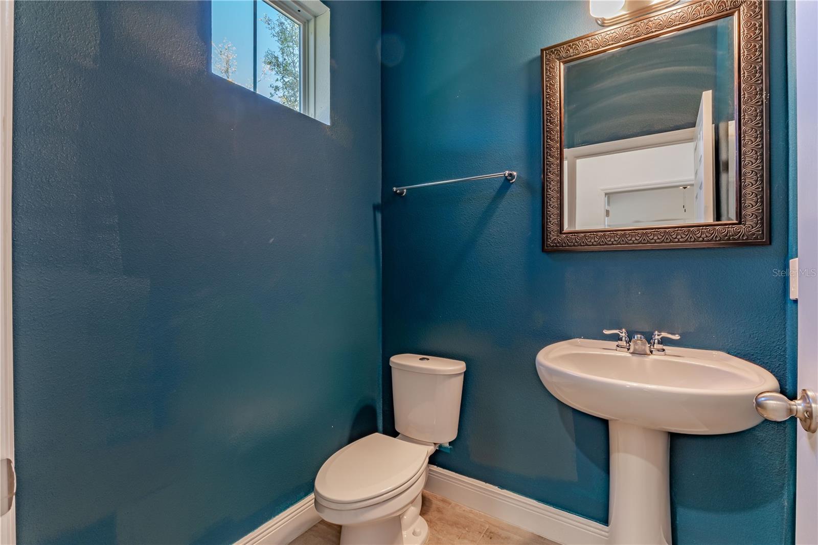 14007 PICARD ALY, WINTER GARDEN, FL, 34787