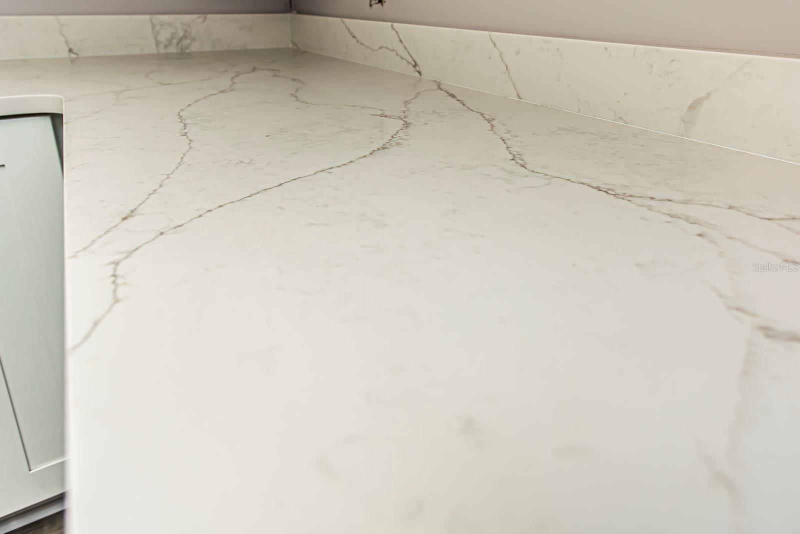 2464 AUSTRALIA WAY E #46, CLEARWATER, FL, 33763