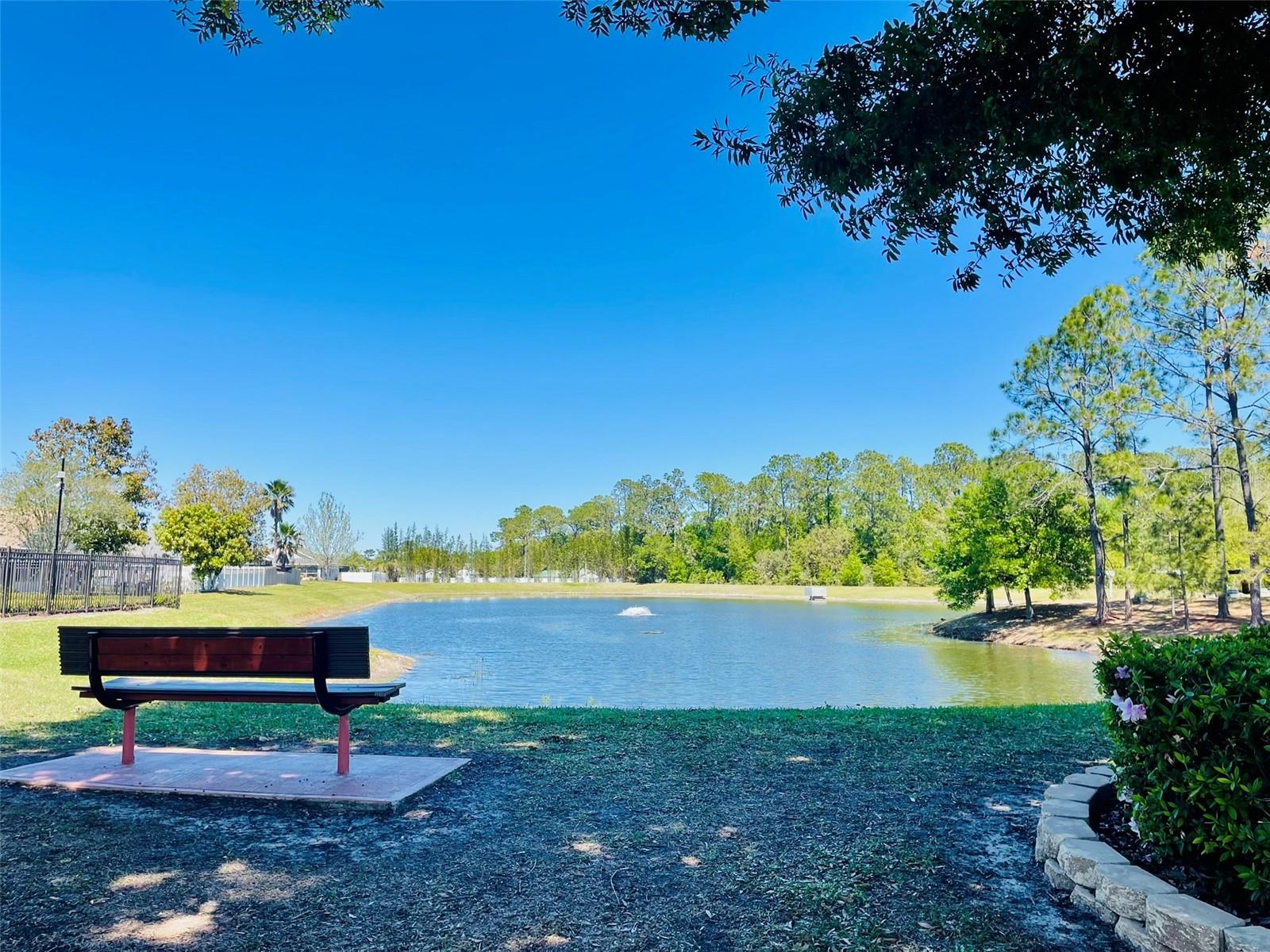 2207 BLACK HAWK ST, CLERMONT, FL, 34714