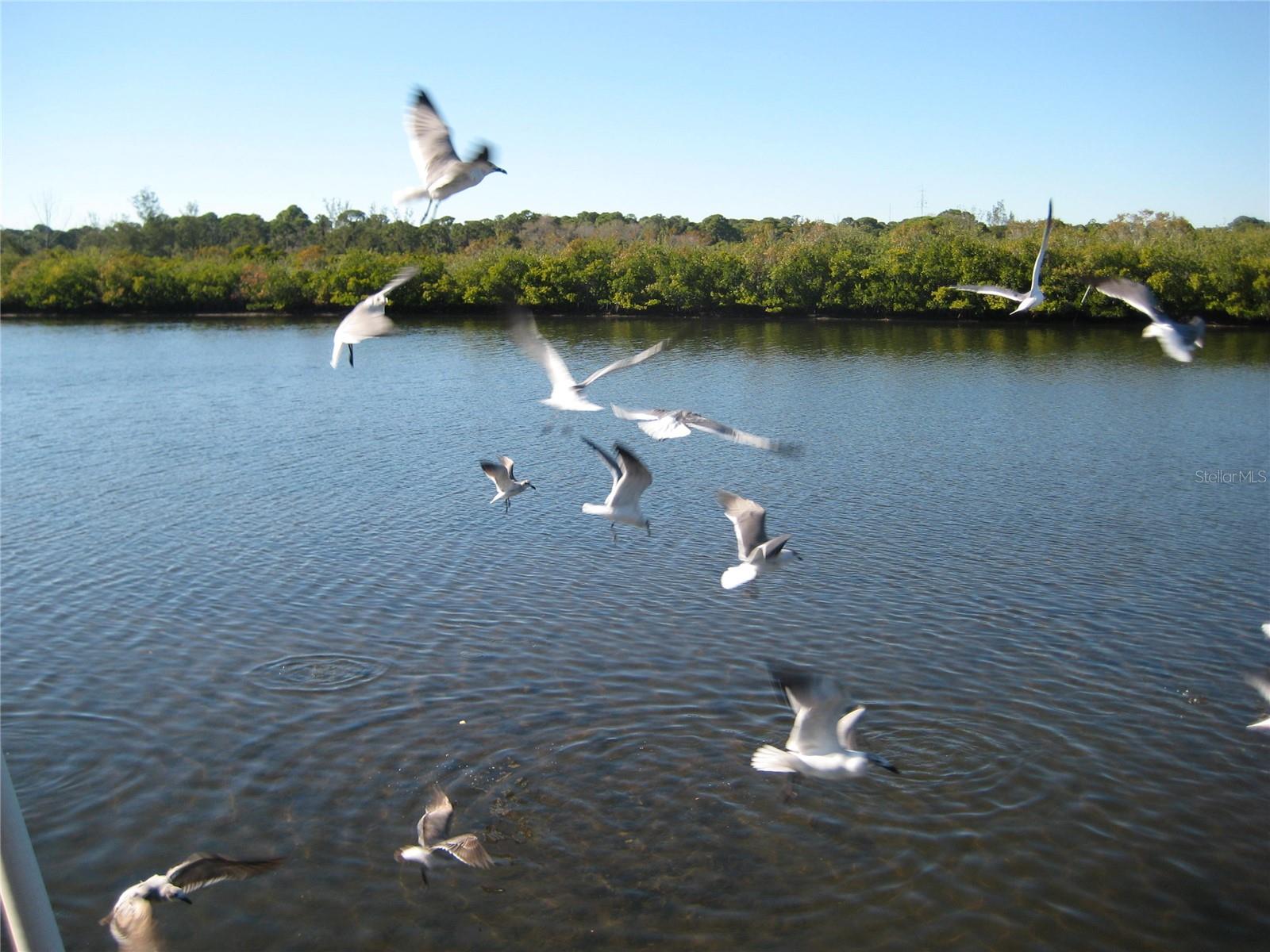603 RAVENNA ST N, NOKOMIS, FL, 34275