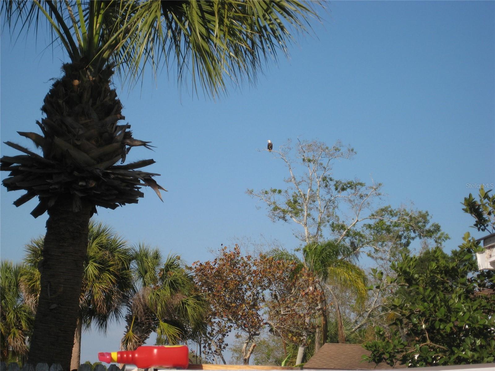 603 RAVENNA ST N, NOKOMIS, FL, 34275