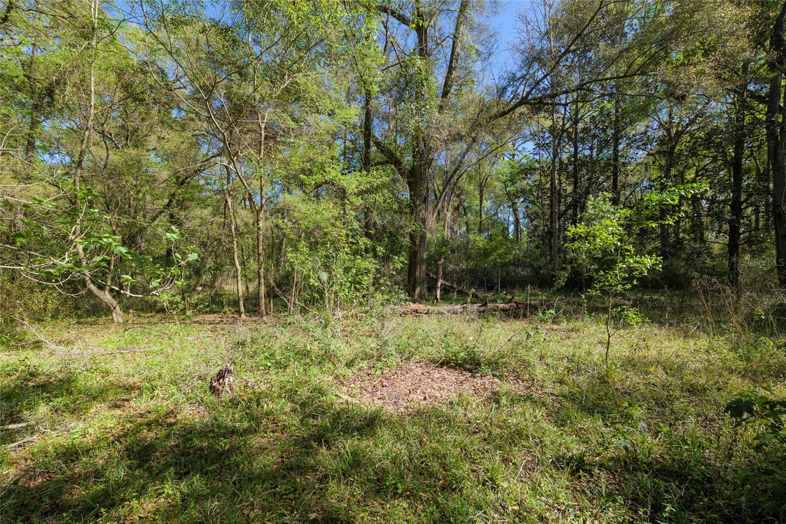 1927 SW 91ST ST, GAINESVILLE, FL, 32607