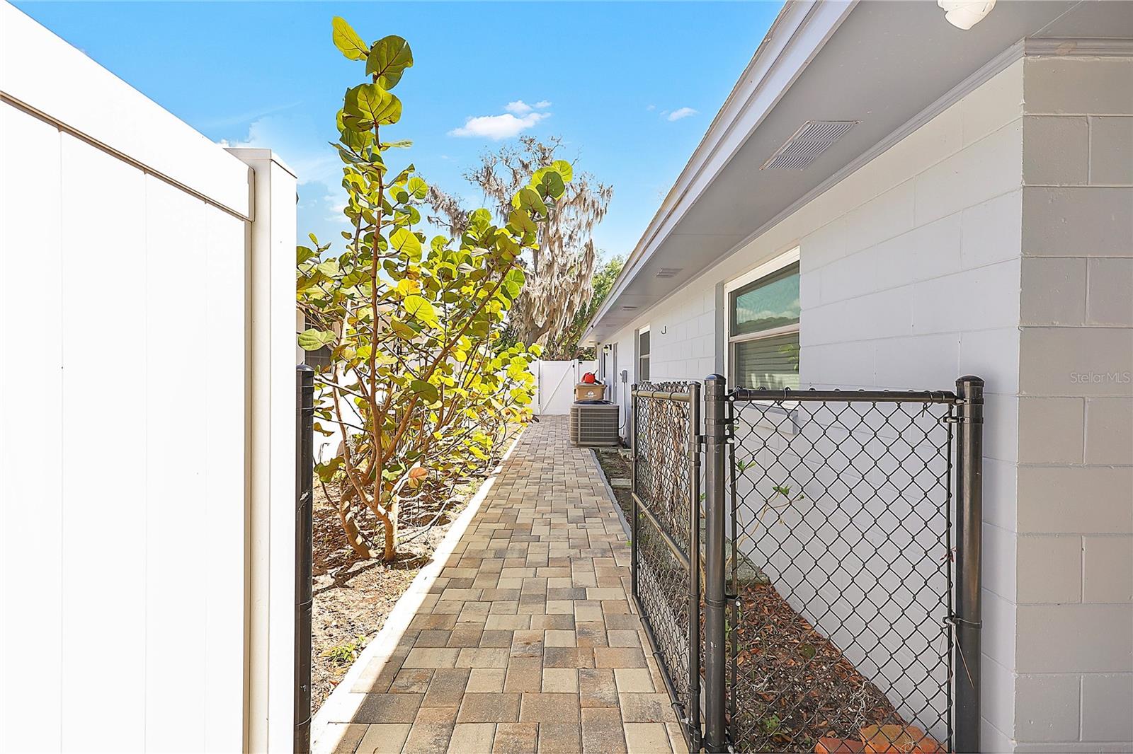 615 CAMELIA ST, MOUNT DORA, FL, 32757