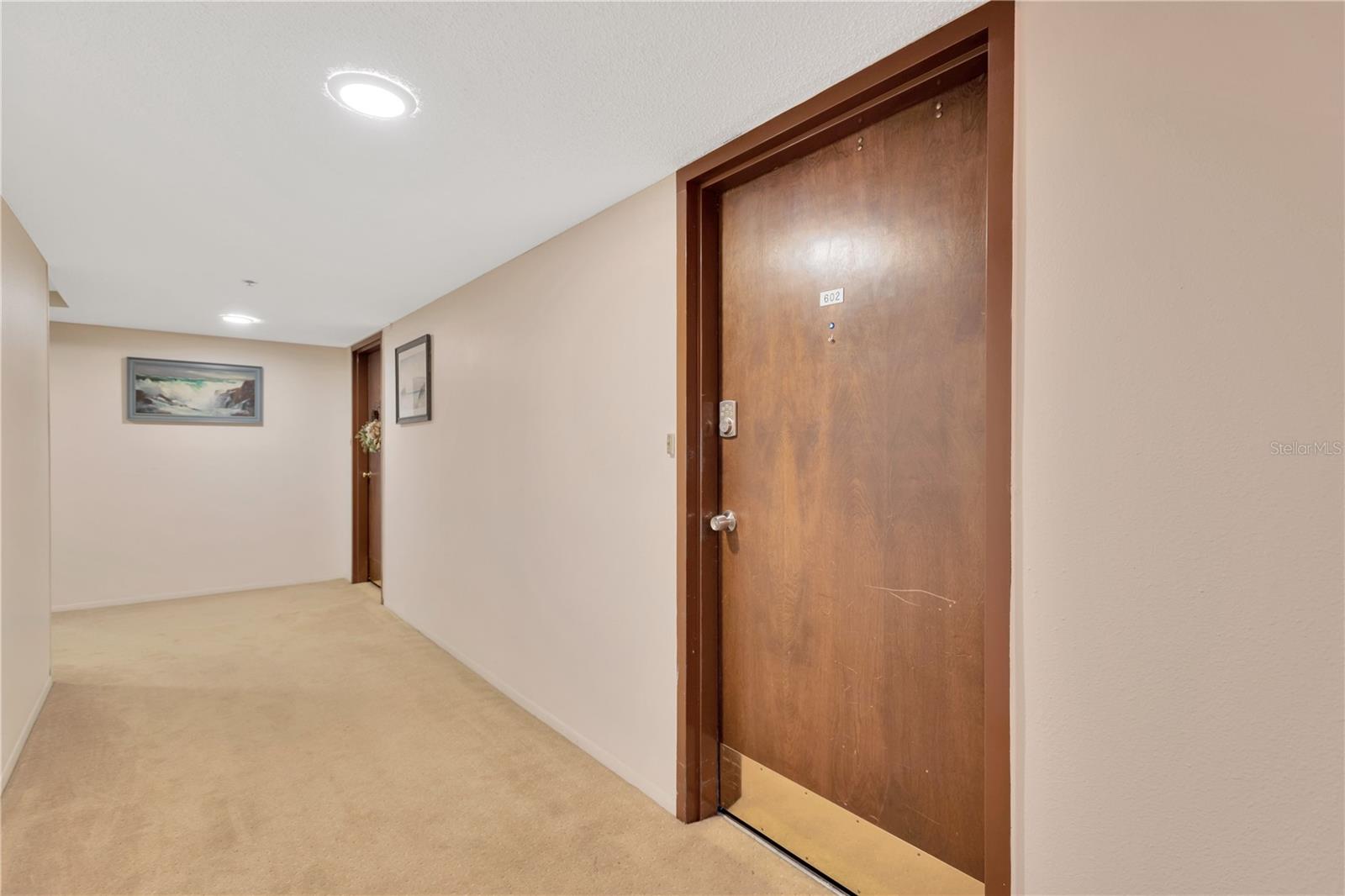 7432 SUNSHINE SKYWAY LN S #602, ST PETERSBURG, FL, 33711