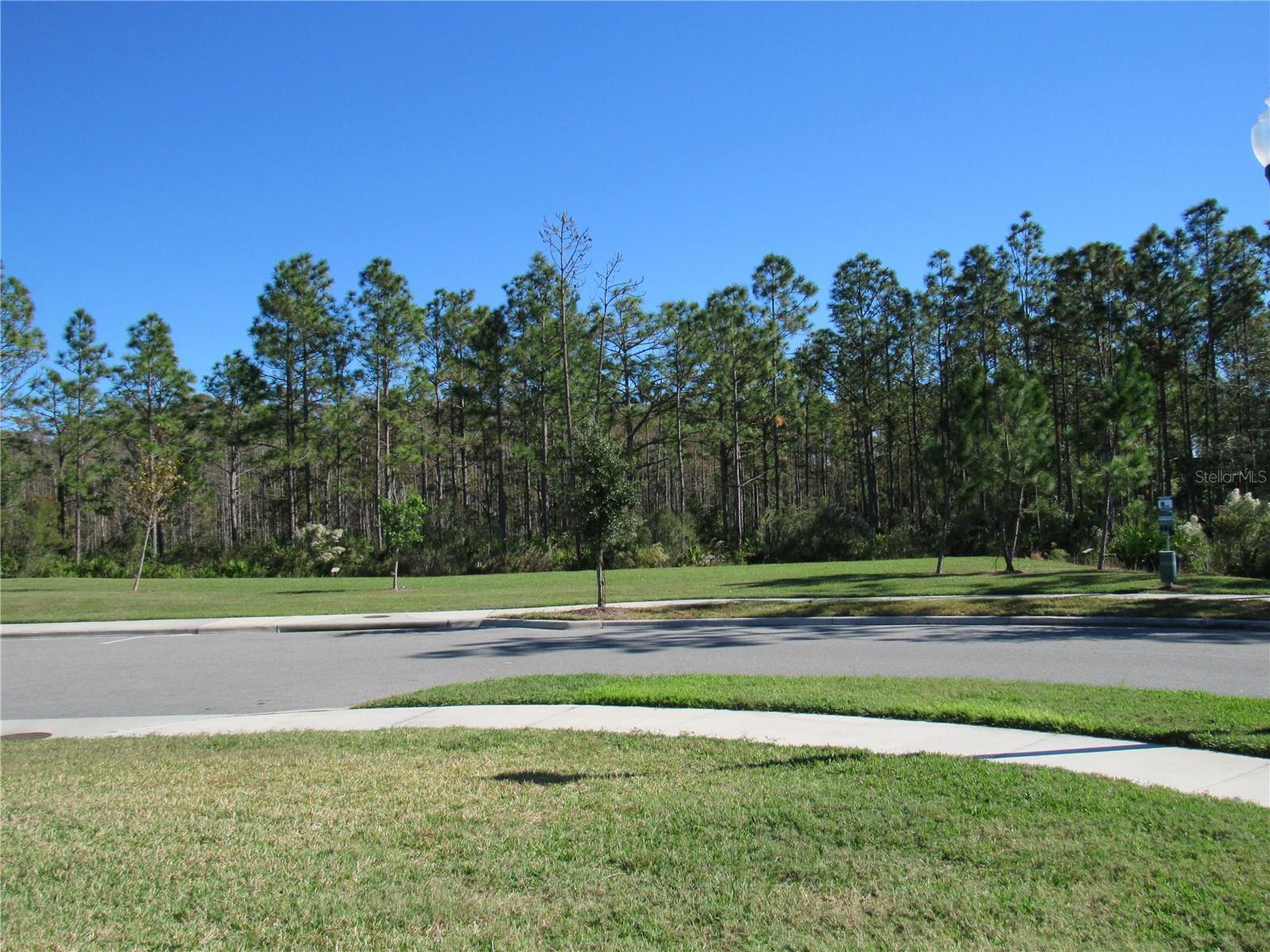 6147 ARBOR WATCH LOOP, ORLANDO, FL, 32829