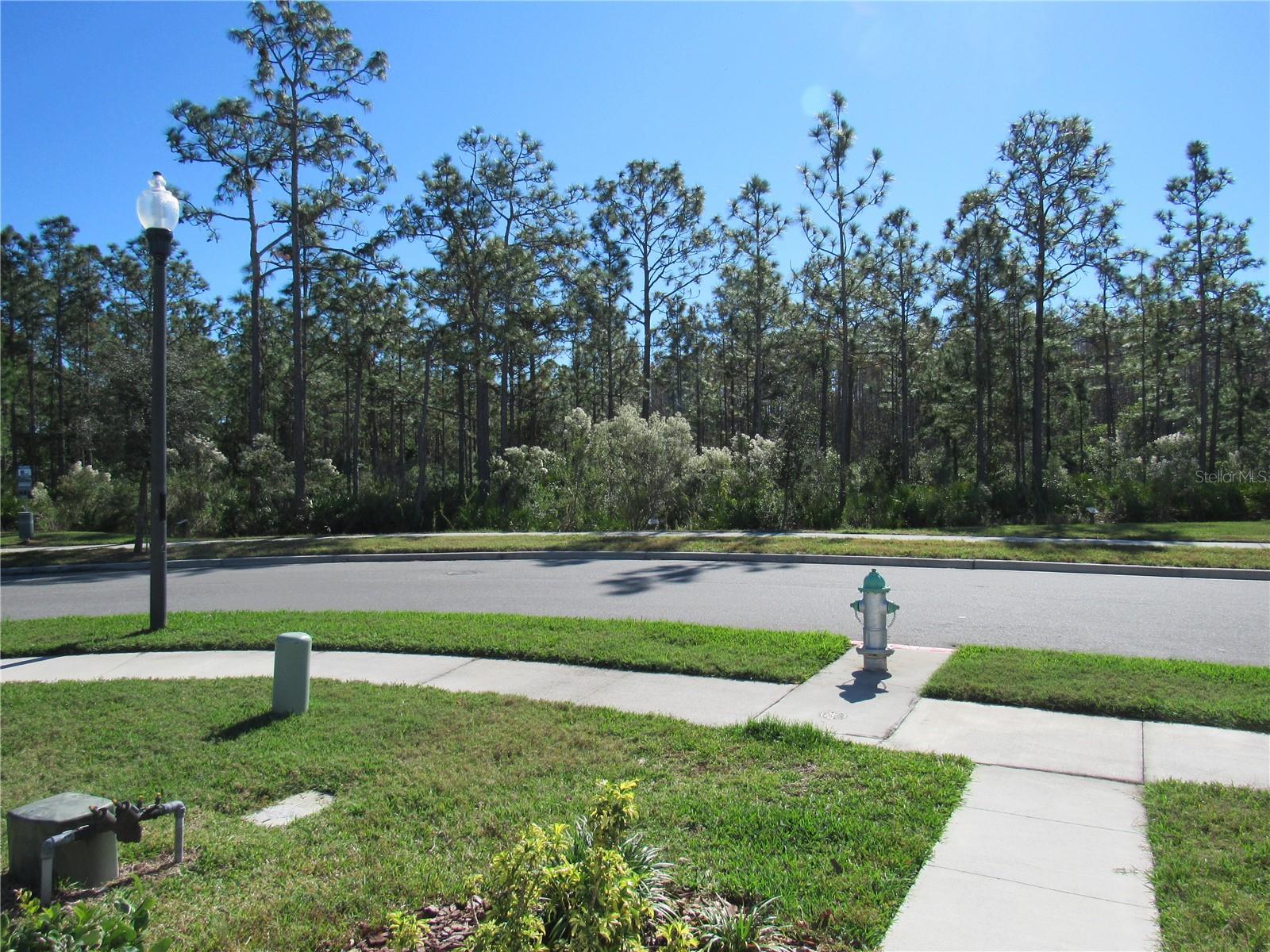 6147 ARBOR WATCH LOOP, ORLANDO, FL, 32829