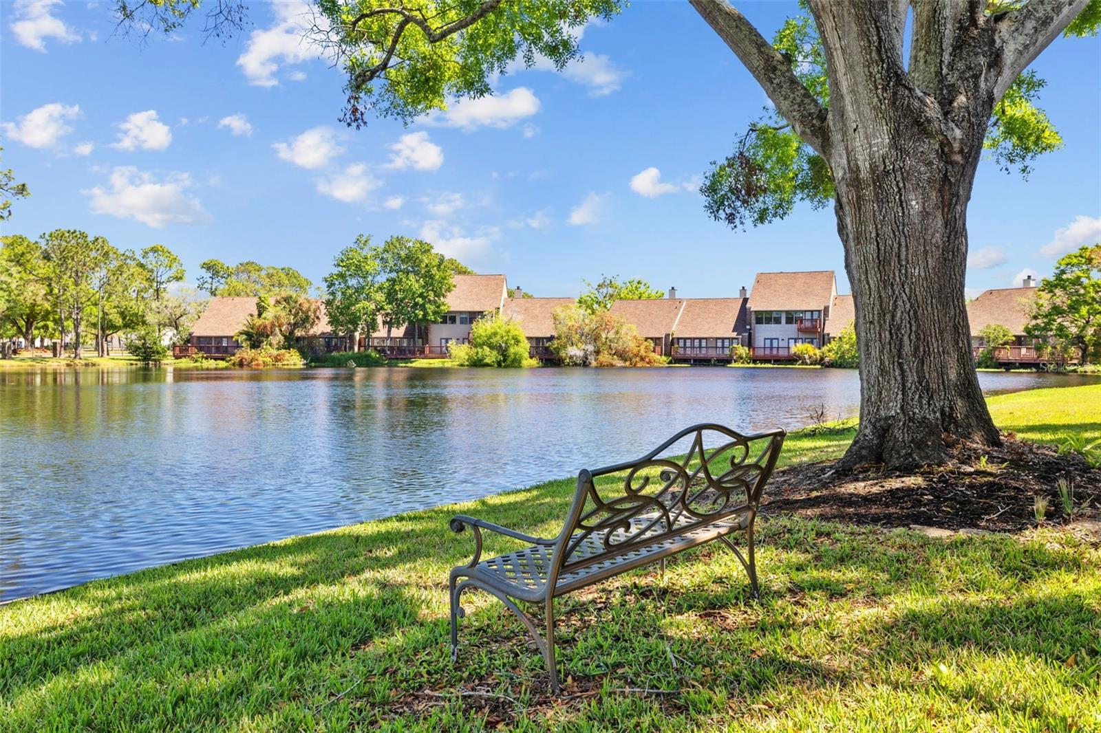 4160 PINELAKE LN #201, TAMPA, FL, 33618