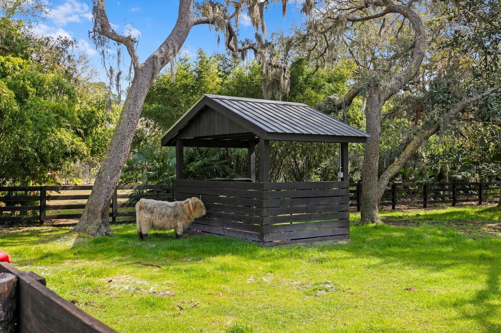 TB8360309 Property Photo