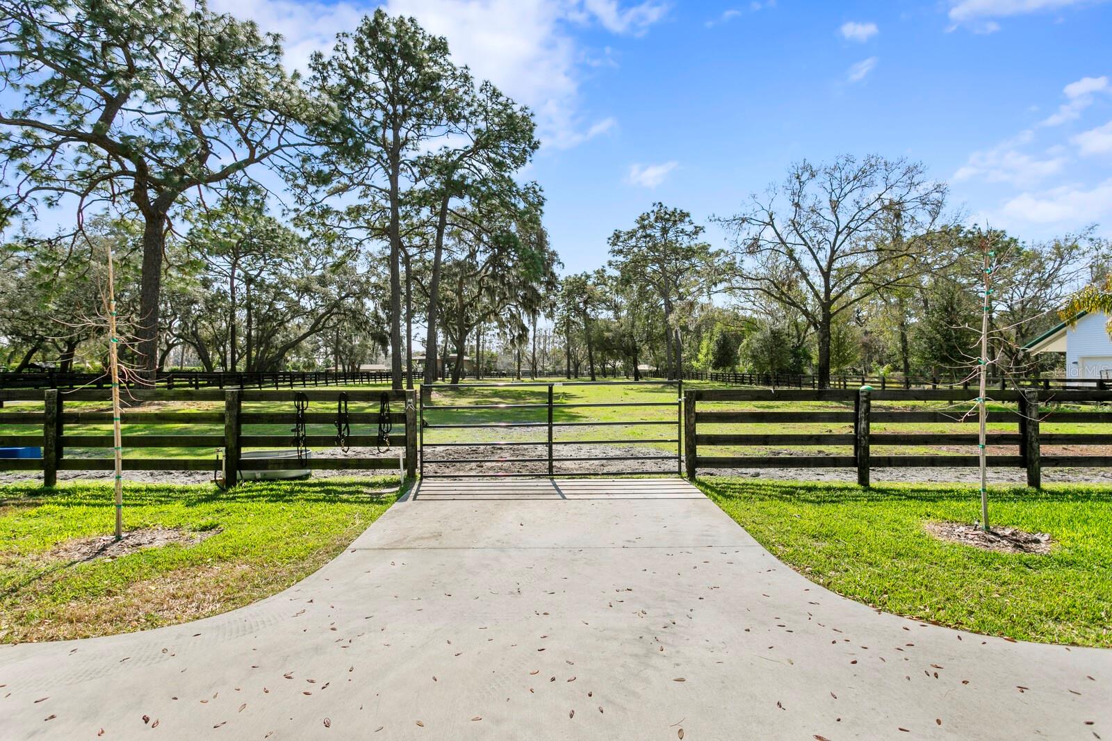 TB8360309 Property Photo