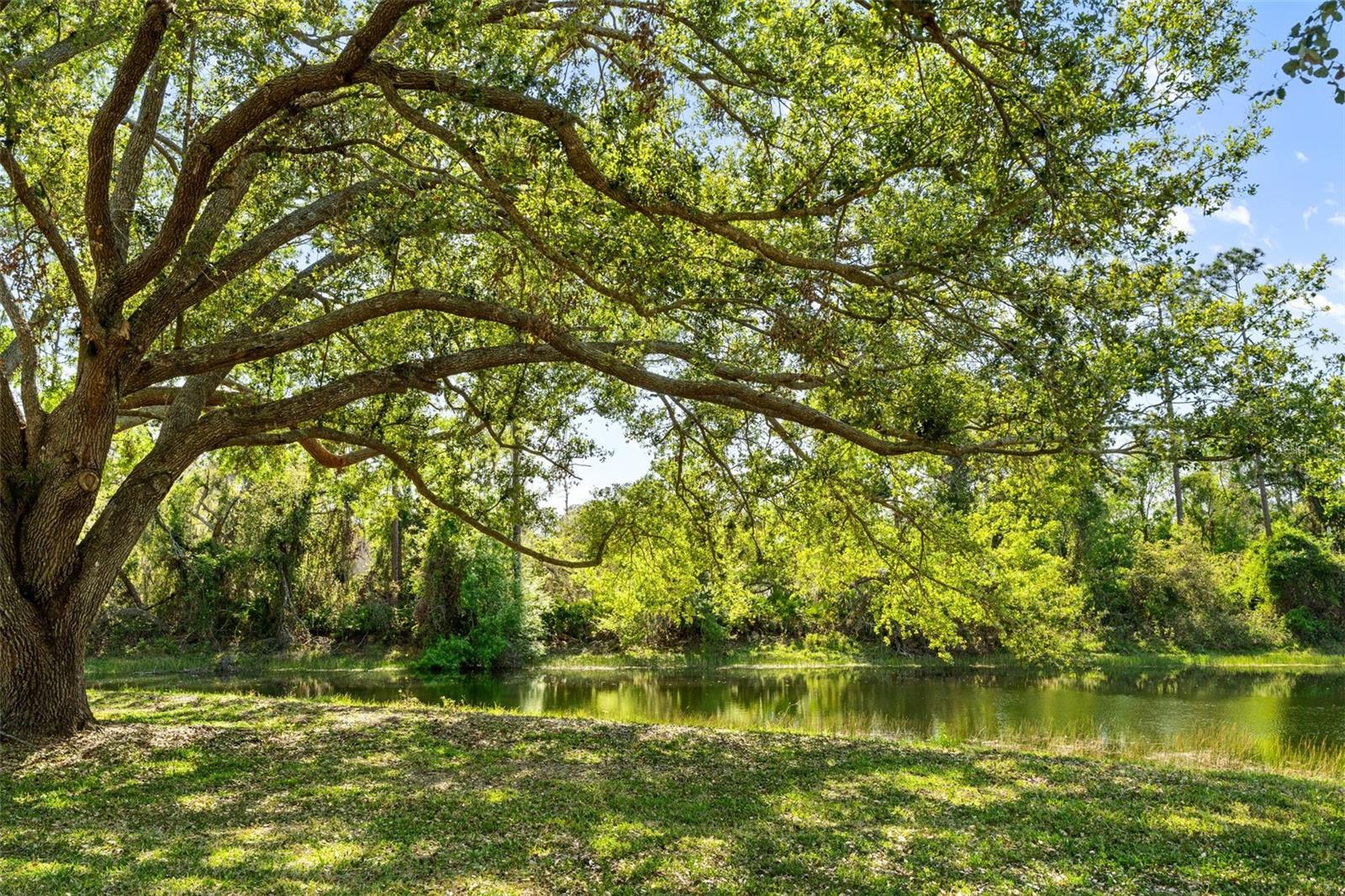 A4644090 Property Photo