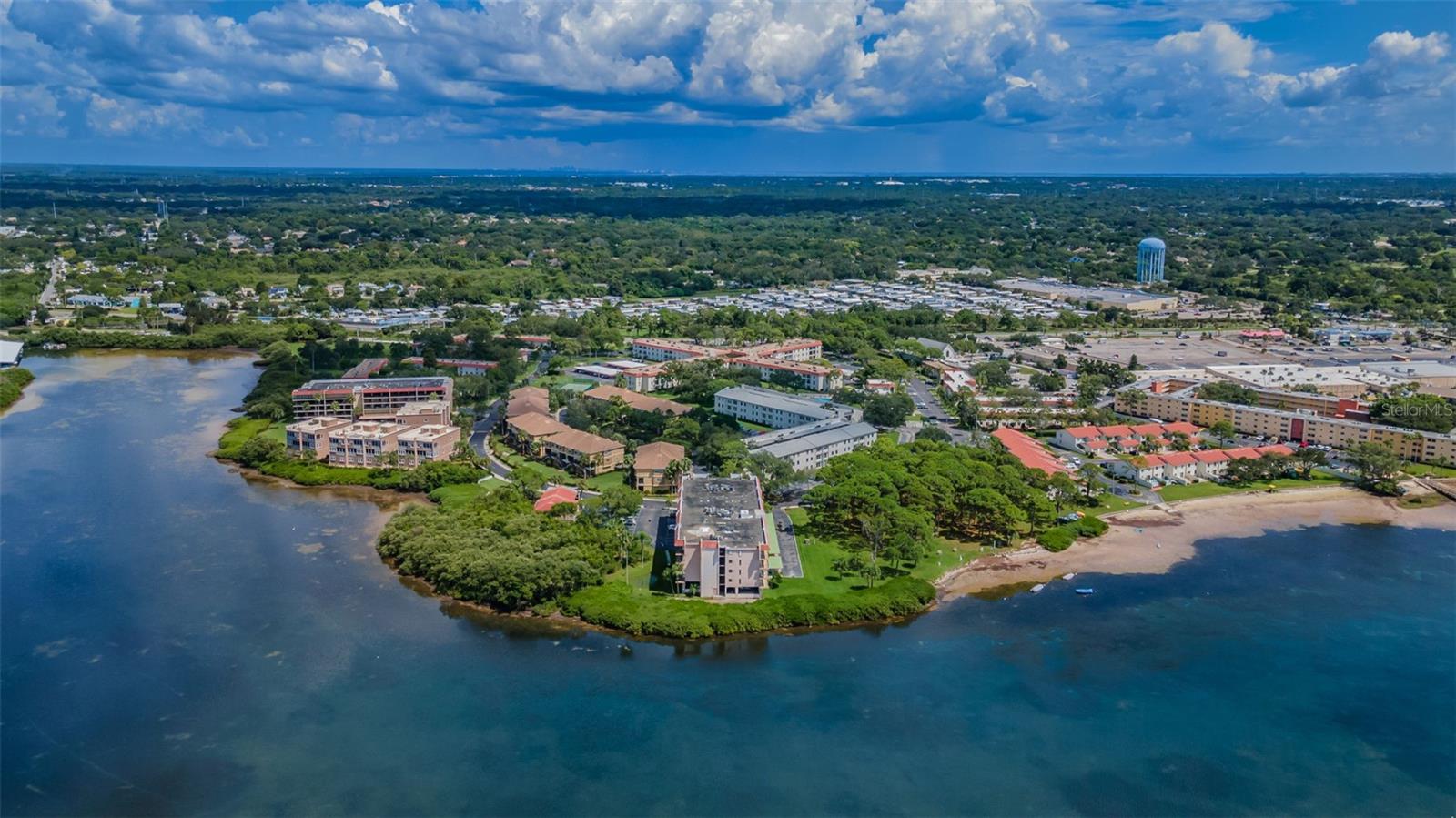 2700 BAYSHORE BLVD #2205, DUNEDIN, FL, 34698