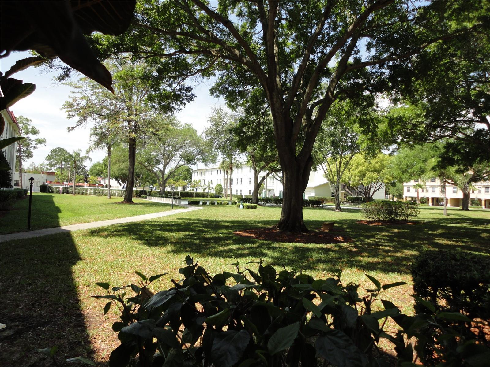 2700 BAYSHORE BLVD #2205, DUNEDIN, FL, 34698