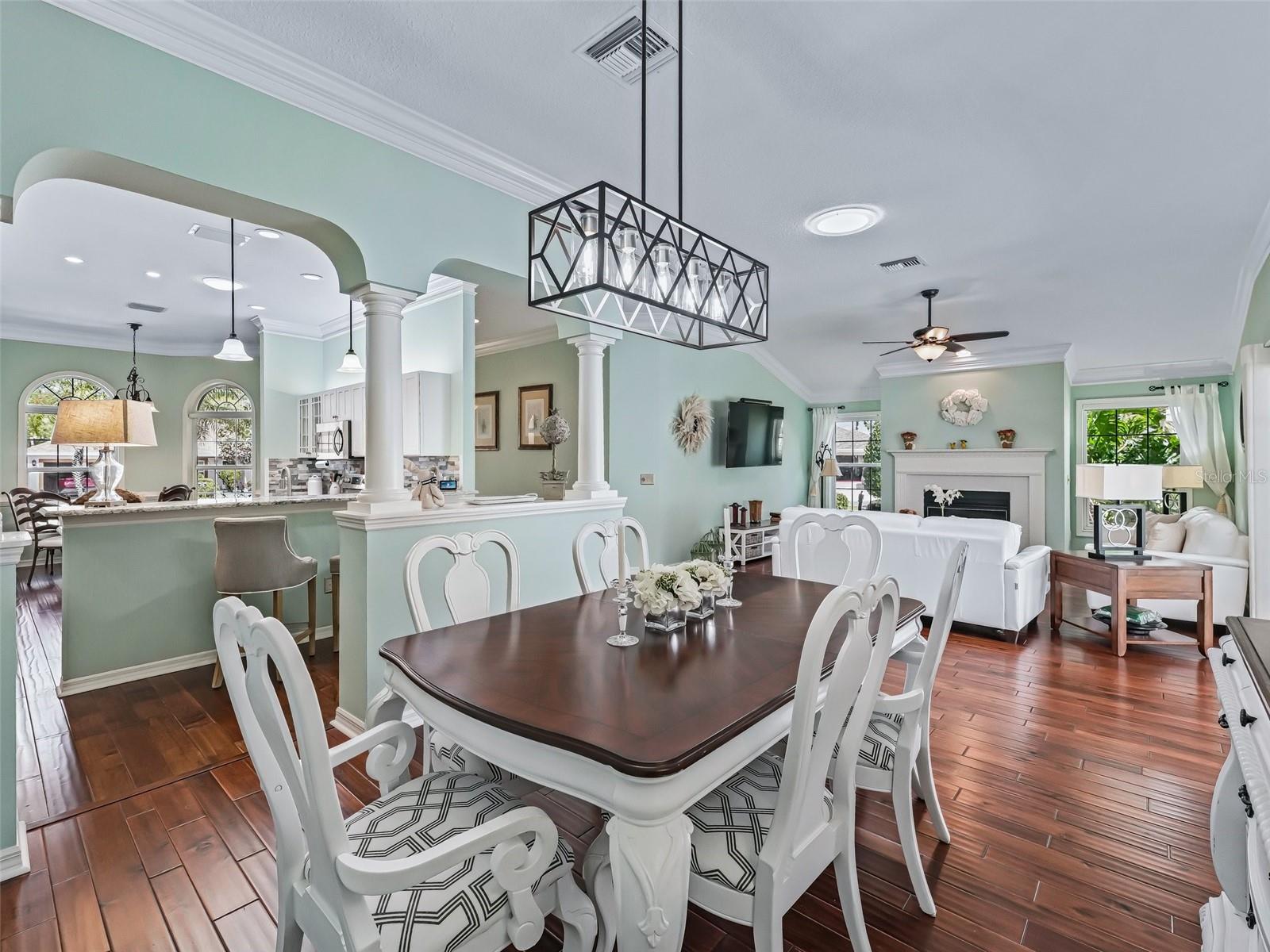 2410 TAMARINDO DR, THE VILLAGES, FL, 32162