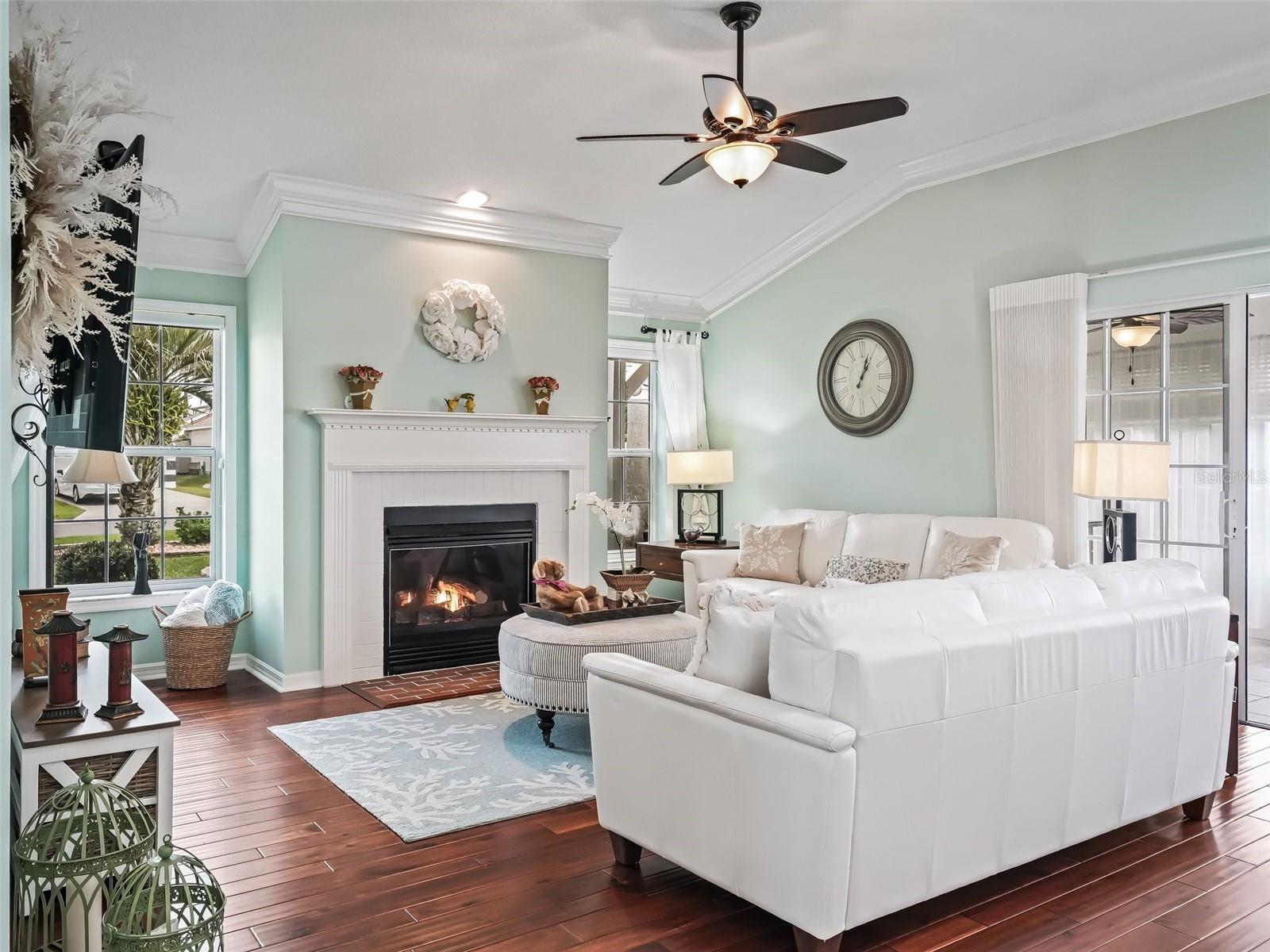 2410 TAMARINDO DR, THE VILLAGES, FL, 32162