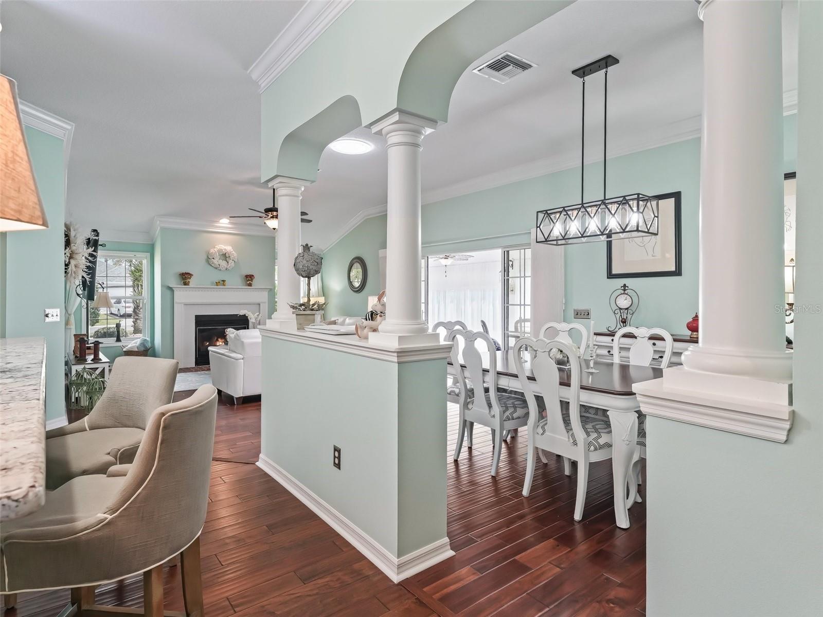 2410 TAMARINDO DR, THE VILLAGES, FL, 32162