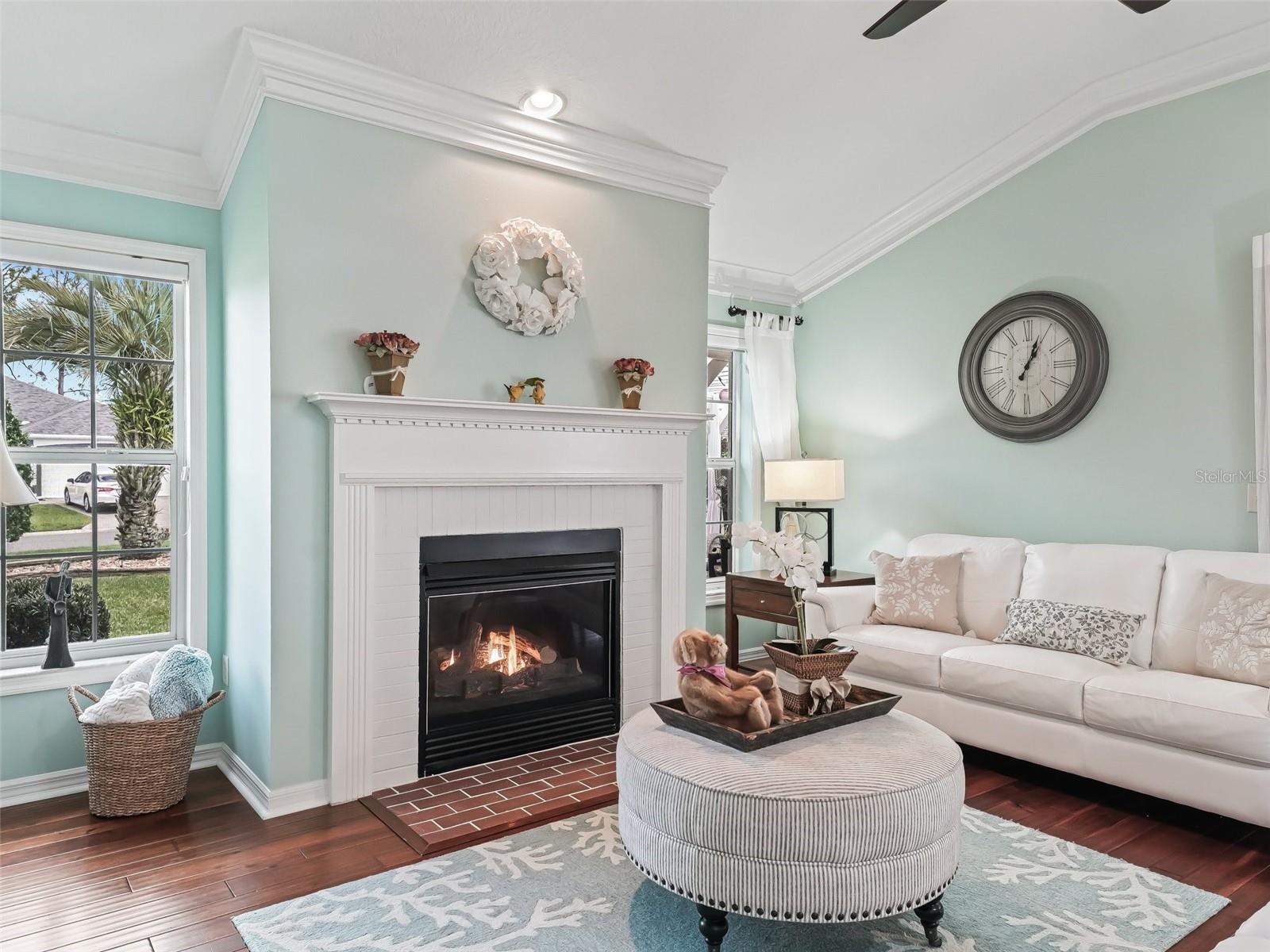2410 TAMARINDO DR, THE VILLAGES, FL, 32162