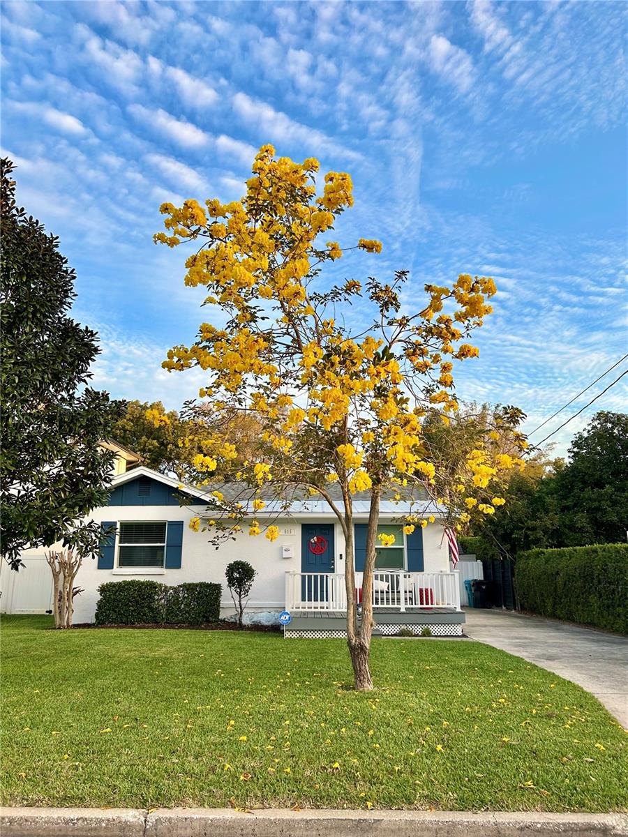 515 CLAYTON ST, ORLANDO, FL, 32804