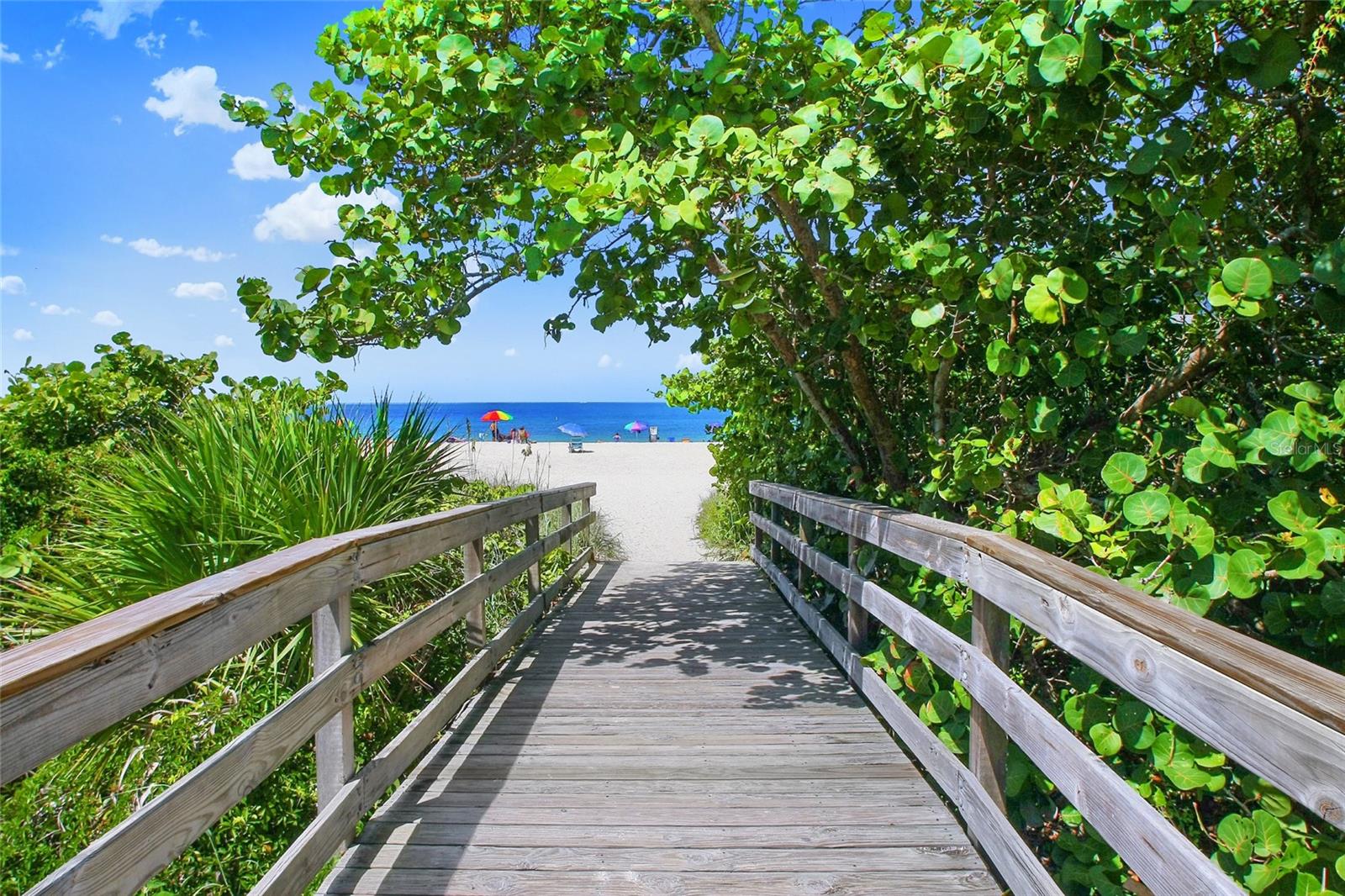 519 HABITAT BLVD, OSPREY, FL, 34229