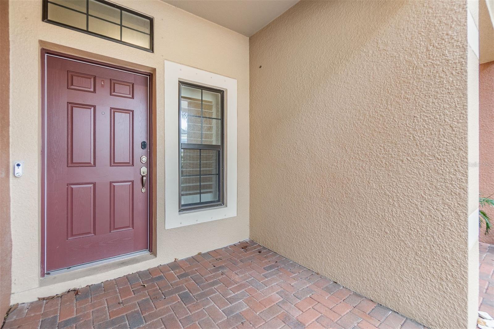 1958 MILKWEED TRCE, LUTZ, FL, 33558