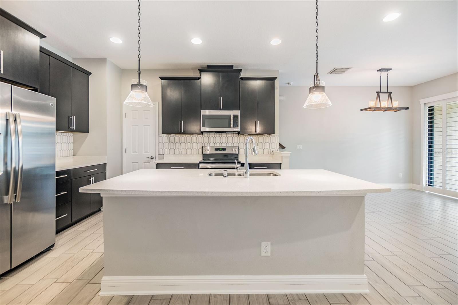 1958 MILKWEED TRCE, LUTZ, FL, 33558