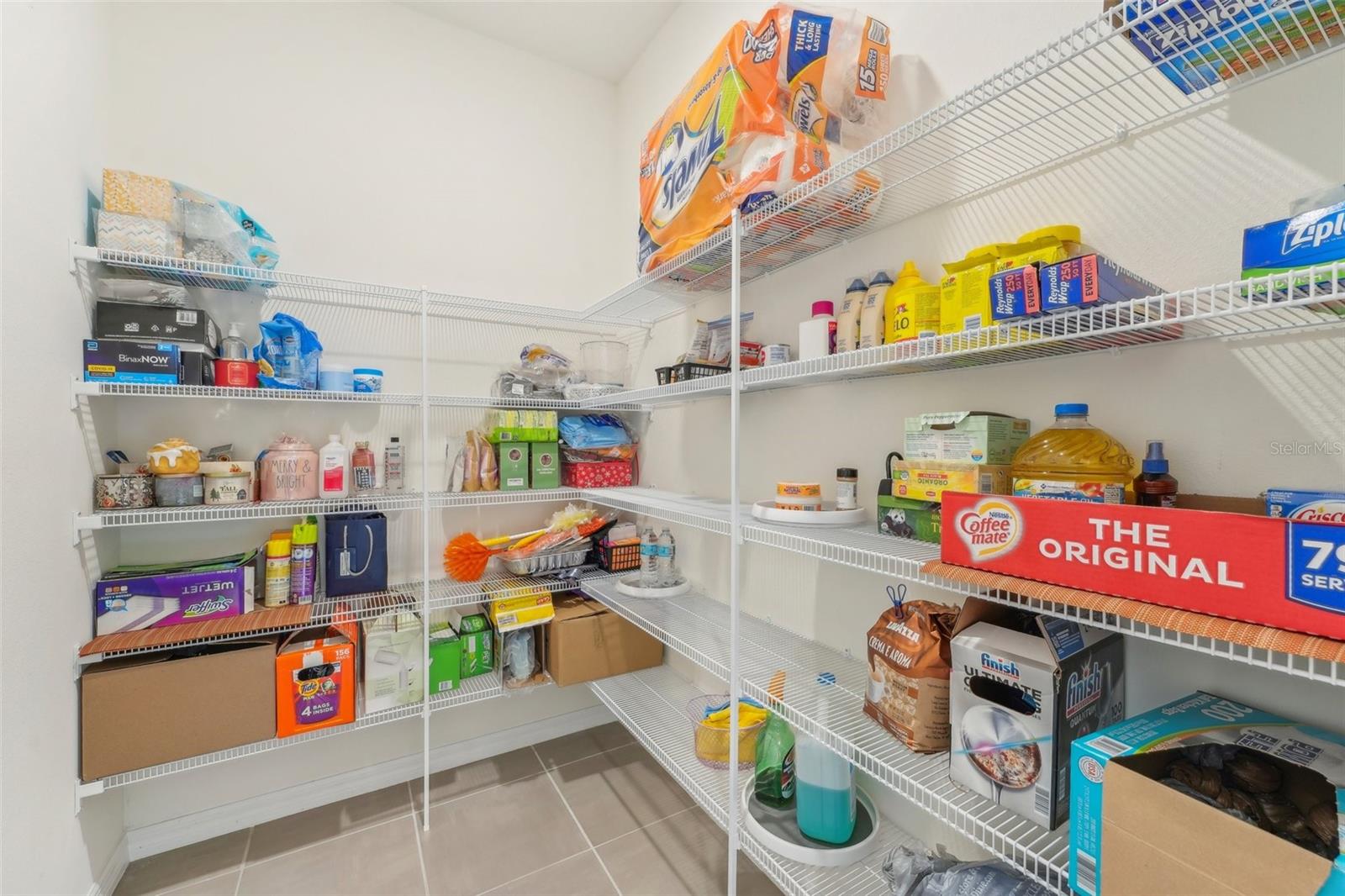 16946 OVAL RUM DR., WIMAUMA, FL, 33598